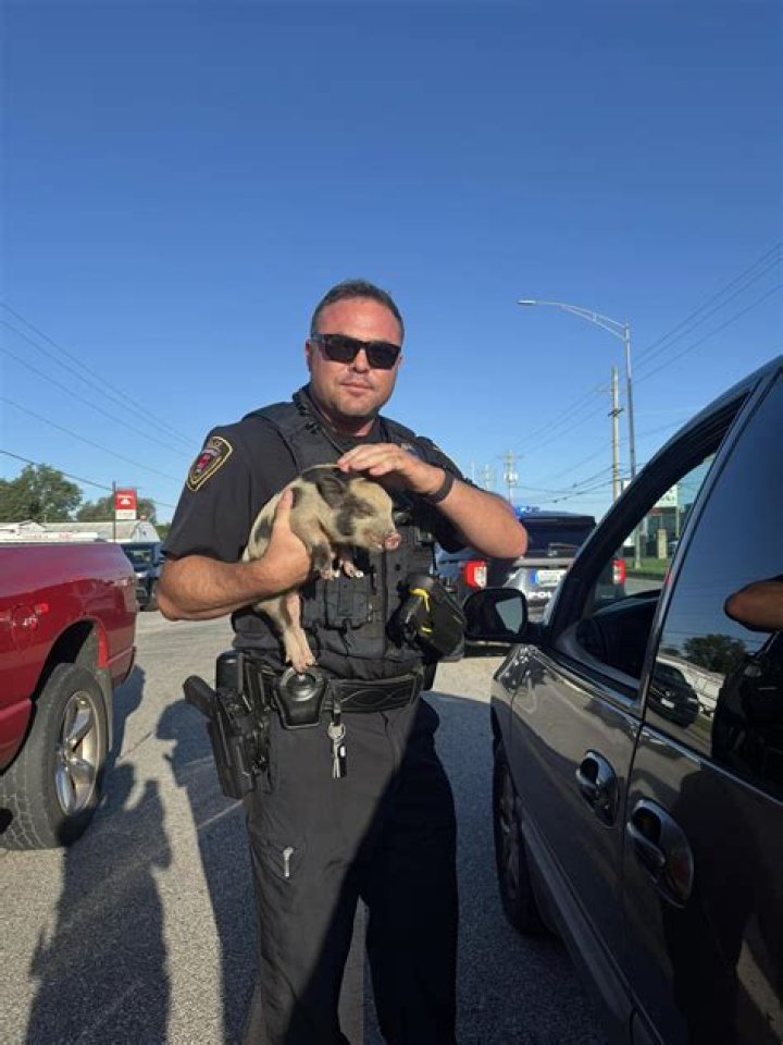 Officer Daniels - Bio, Age, Wiki, Facts and Family