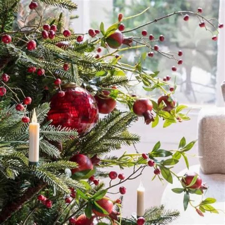 Patricia Navidad - Bio, Age, Wiki, Facts and Family