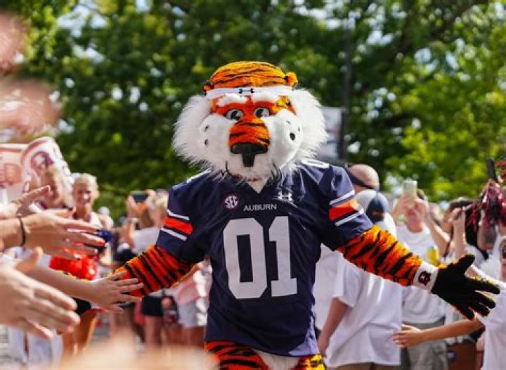 Paxton Singleton - Bio, Age, Wiki, Facts and Family