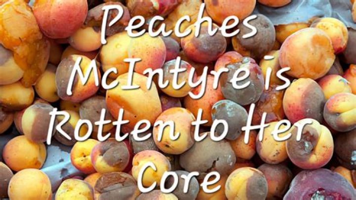 Peaches McIntyre (webvideostar) - Wikipedia, Age, Net Worth, Biography , Spotify, TikTok, Facebook, Facts and Family