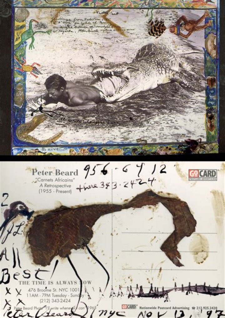 Peter Beard - Bio, Age, Wiki, Facts and Family