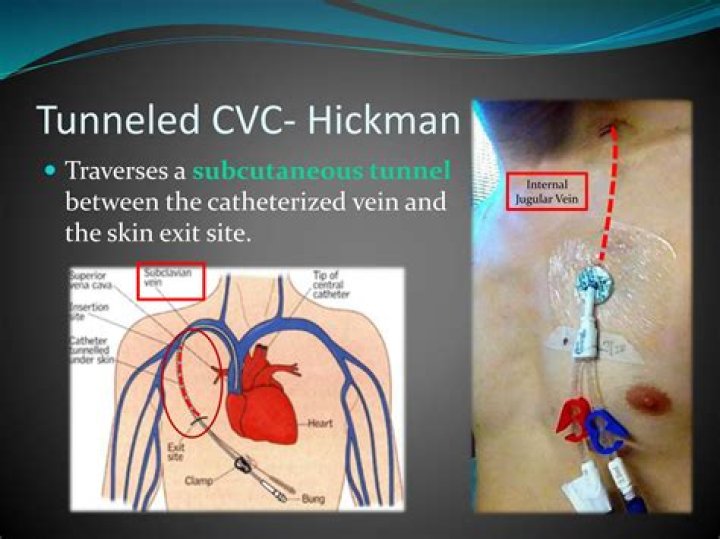 Peter Hickman: Motorcycle Racer Detailed Bio, Age, Birthday, & Height Insights and more