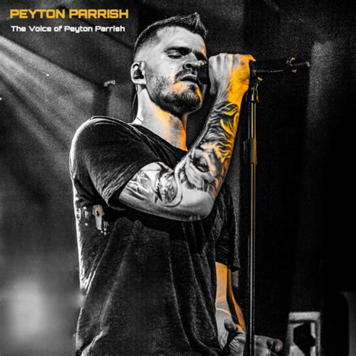 Peyton Parrish (webvideostar) - Biography, Age, Net Worth, Wikipedia, Spotify, TikTok, Facebook, Facts and Family