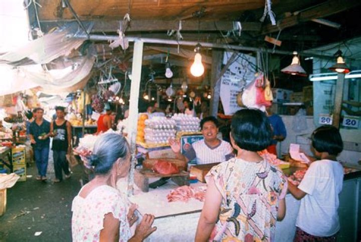 Famous People's Birthdays, 1996, Philippines Celebrity Birthdays