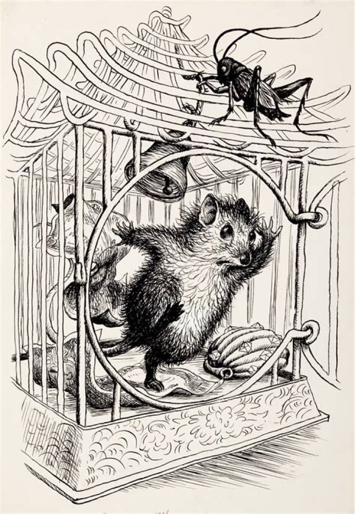 Quigley - Bio, Age, Wiki, Facts and Family