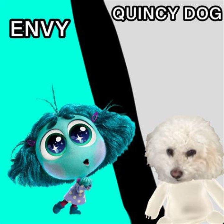 Quincy the Dog - Bio, Age, Wiki, Facts and Family