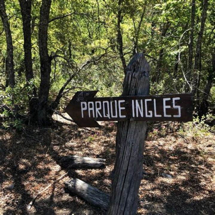 RADAL - Bio, Age, Wiki, Facts and Family