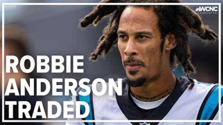 Robby Anderson - Bio, Age, weight, height, Wiki, Facts and Family