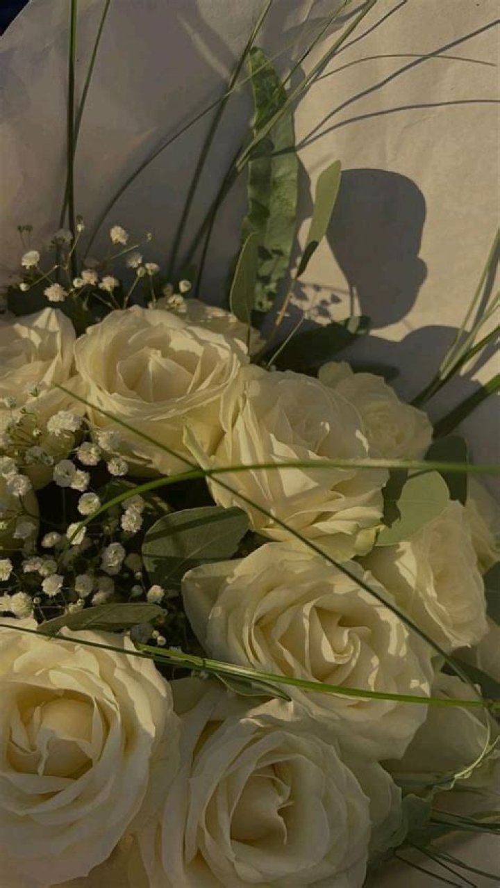 Rose Bianco: TV Actress Detailed Bio, Age, Birthday, & Height Insights and more