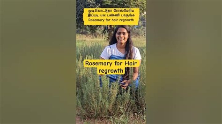 Rosemary Harris - Bio, Age, Wiki, Facts and Family