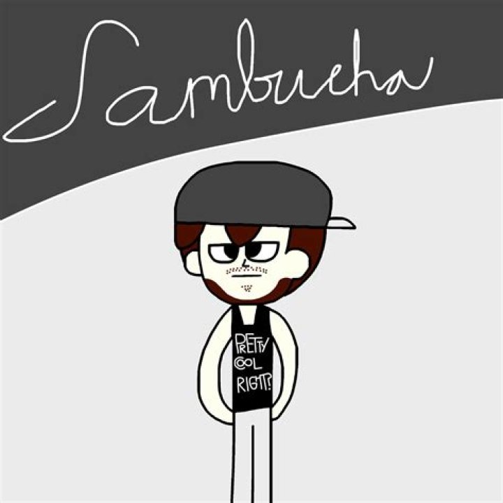 Who is Sambucha ? Wikipedia,Age,Height,Weight,Real Name,Net Worth