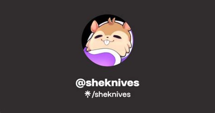 SheKnives - Bio, Age, Wiki, Facts and Family