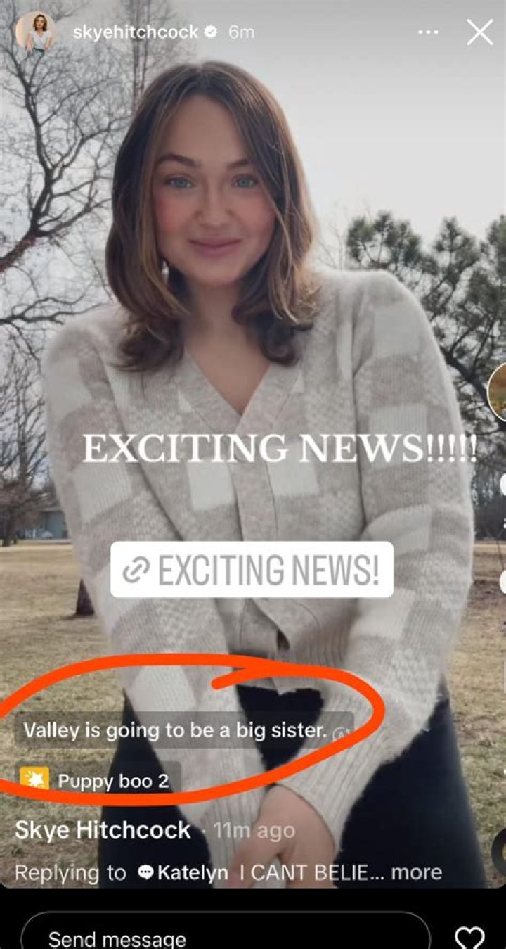 Skye Hitchcock - Bio, Age, Wiki, Facts and Family