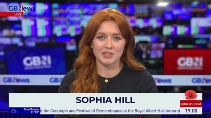 Sophia Hill (webvideostar) - Wikipedia, Age, Net Worth, Biography , Spotify, TikTok, Facebook, Facts and Family