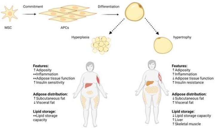Spuddz (webvideostar) - Wikipedia, Age, Net Worth, Biography , Spotify, TikTok, Facebook, Facts and Family