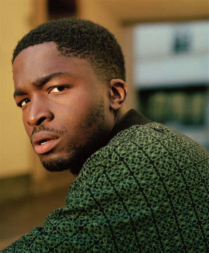 Stephane Bak - Bio, Age, Wiki, Facts and Family