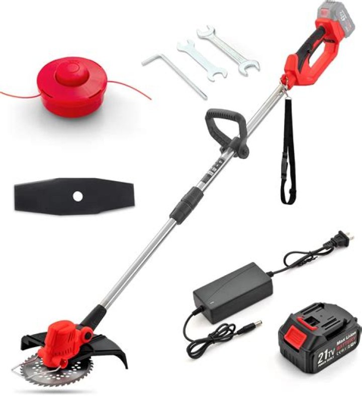 Summer Hart - Bio, Age, Wiki, Facts and Family