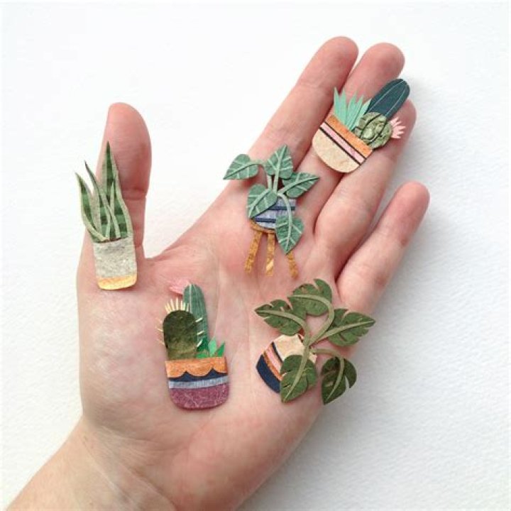 Tara Galuska - Bio, Age, Wiki, Facts and Family