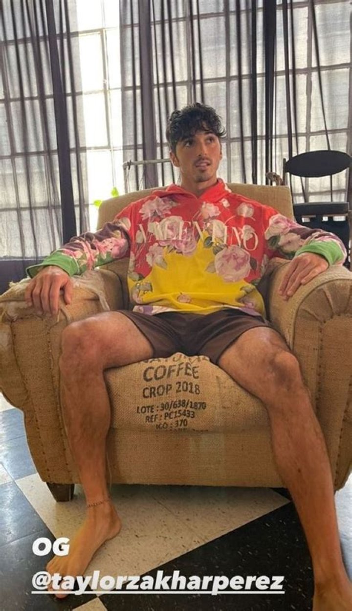 Taylor Zakhar Perez - Biography, Age, Wiki, Facts and Family