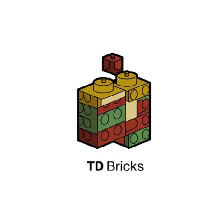 TD BRICKS: YouTube Star Detailed Bio, Age, Birthday, & Height Insights and more