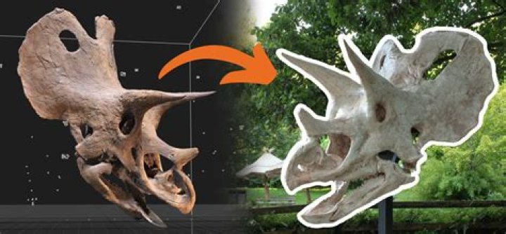 Todd Graves (businessexecutive)-Wiki, Age, Net Worth, Biography , Spotify, TikTok, Facebook, Facts and Family