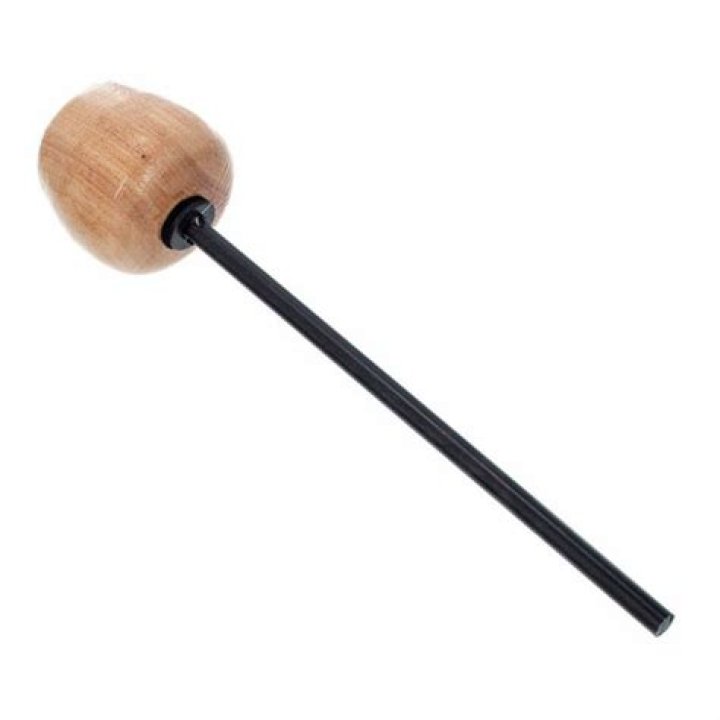 Tommy Aldridge - Bio, Age, net worth, Wiki, Facts and Family