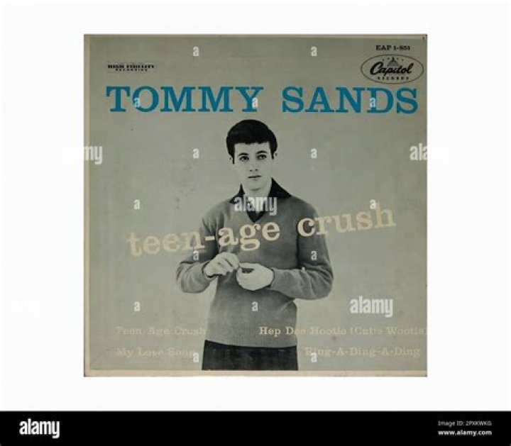 Tommy Sands - Bio, Age, net worth, Wiki, Facts and Family