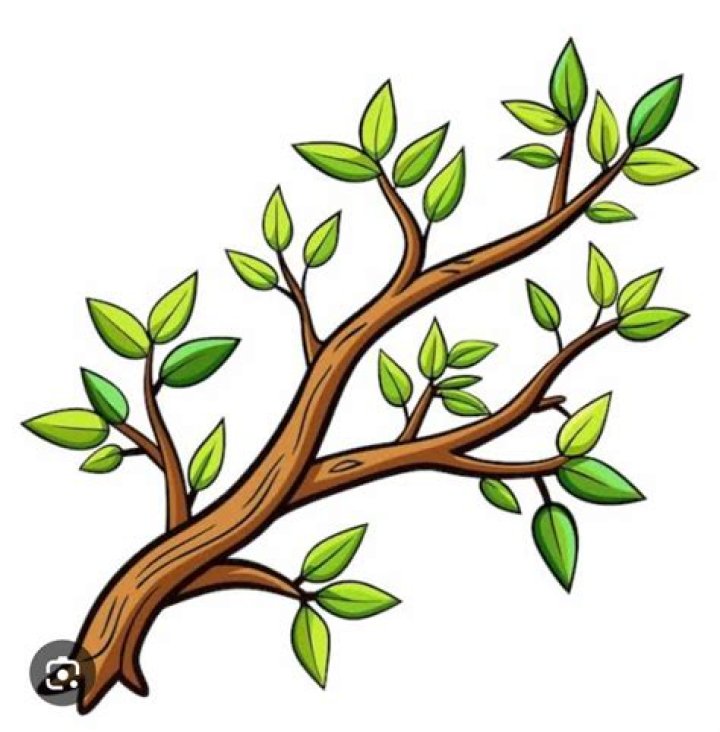 Tre Good - Bio, Age, Wiki, Facts and Family