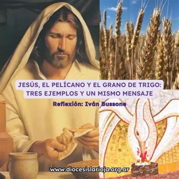 Trigo de Jesus Figueroa: Family Member Detailed Bio, Age, Birthday, & Height Insights and more