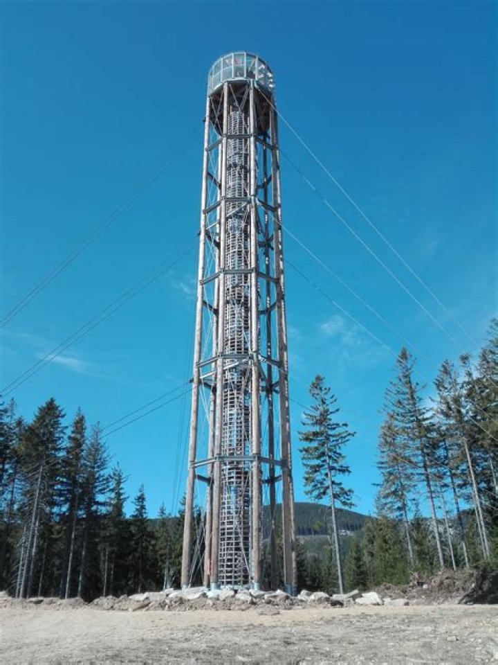 Twiggy - Bio, Age, Wiki, Facts and Family