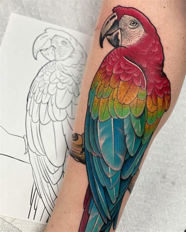 Tyler James Nolan - Bio, Age, Wiki, Facts and Family