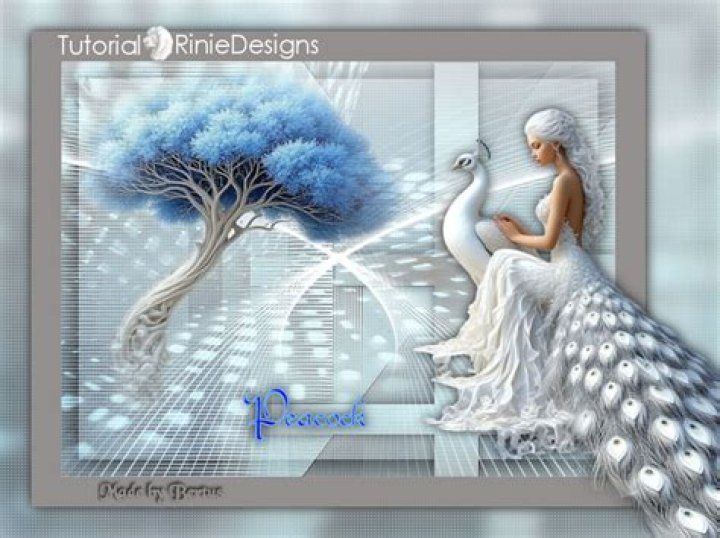 Valy - Bio, Age, Wiki, Facts and Family