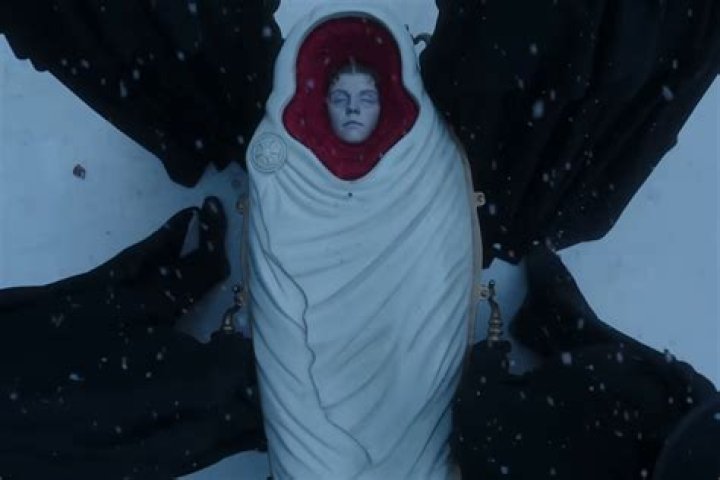 Victor Barrio (bullfighter) - Wikipedia, Age, Net Worth, Biography , Spotify, TikTok, Facebook, Facts and Family