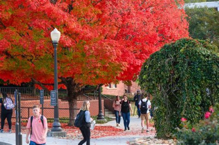 Virginia Williams - Bio, Age, Wiki, Facts and Family