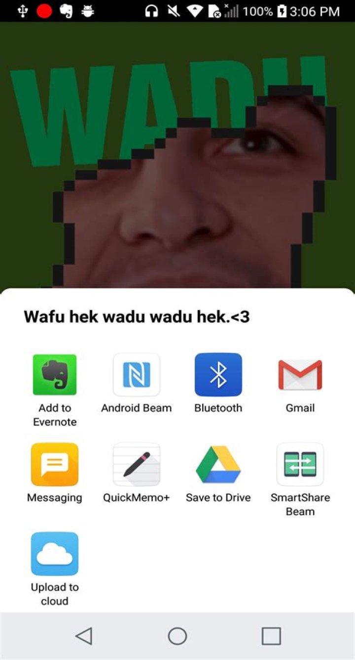 Wadu Hek - Bio, Age, Wiki, Facts and Family