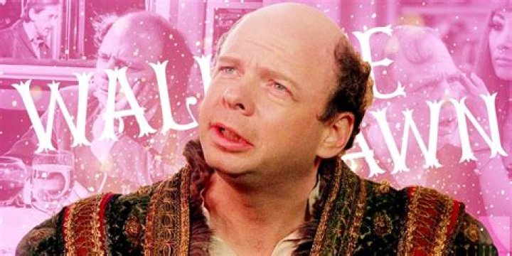 Wallace Shawn - Bio, Age, net worth, height, Wiki, Facts and Family