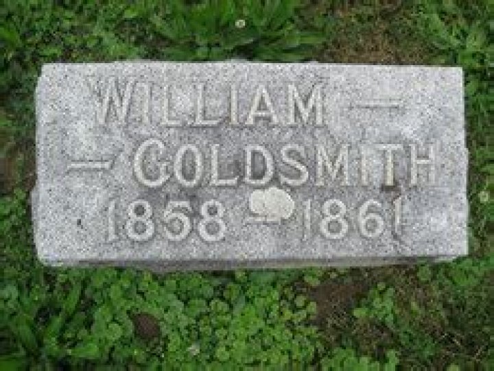 William Goldsmith - Bio, Age, Wiki, Facts and Family