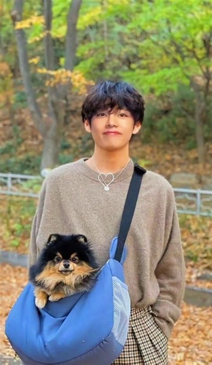 Yeontan (pet) - Wikipedia, Age, Net Worth, Biography , Spotify, TikTok, Facebook, Facts and Family