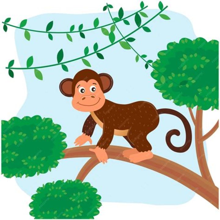 Zoe Whelan - Bio, Age, Wiki, Facts and Family